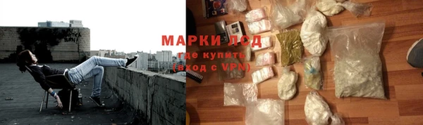 сатива Алзамай
