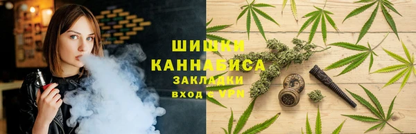 индика Алексеевка