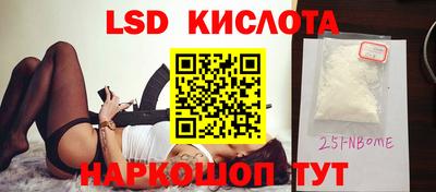 стафф Бердск