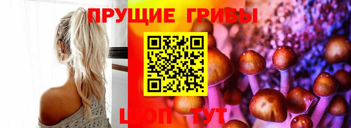 Псилоцибиновые грибы Magic Shrooms Чебоксары