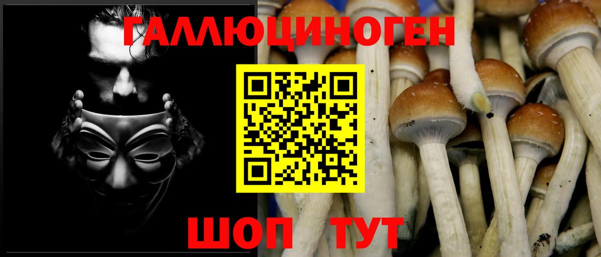 Псилоцибиновые грибы Psilocybe  Вход с VPN  наркотики  Чебоксары 